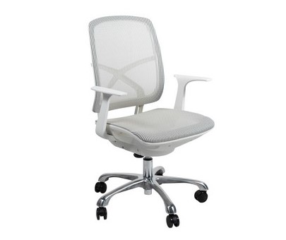 גריי לבן 1 (3)