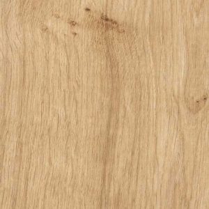 7019 אלון מבוקע