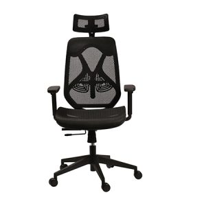 כסא מנהלים אורטופדי דגם סטינג רשת