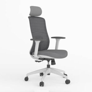 כסא למשרד אורתופדי דגם סאן