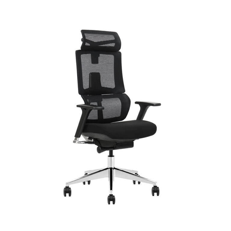 כסא מנהלים אורתופדי ארגונומי דגם Ergotop Soft